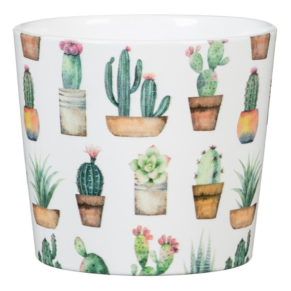 Mini Cactus Pot 9cm Mini Cactus Pot 9cm