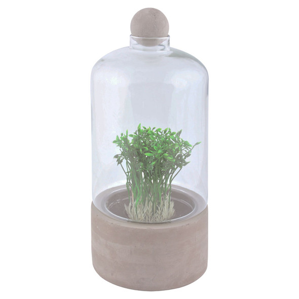 Bottle Terrarium Concrete Base Large