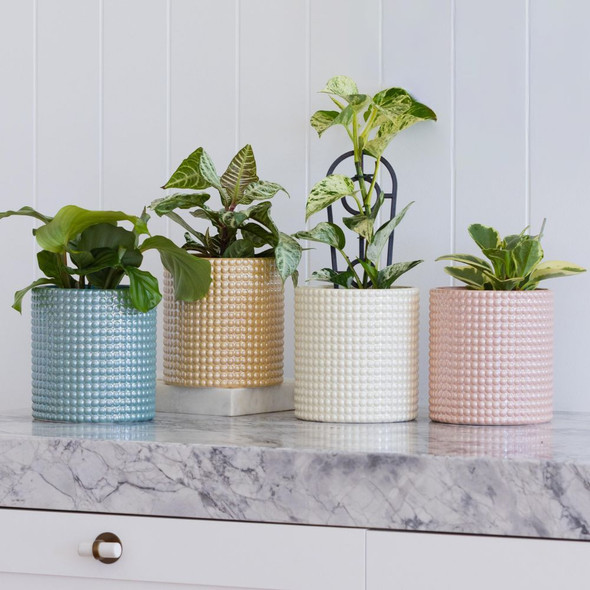Bella Cylinder Pot
