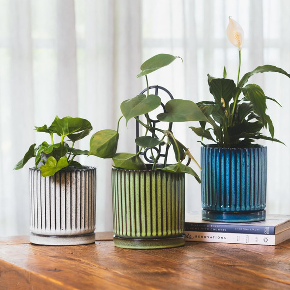 Louis Tapered Cylinder