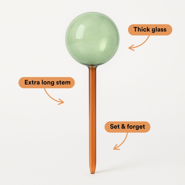 Self-Watering Plant Globe