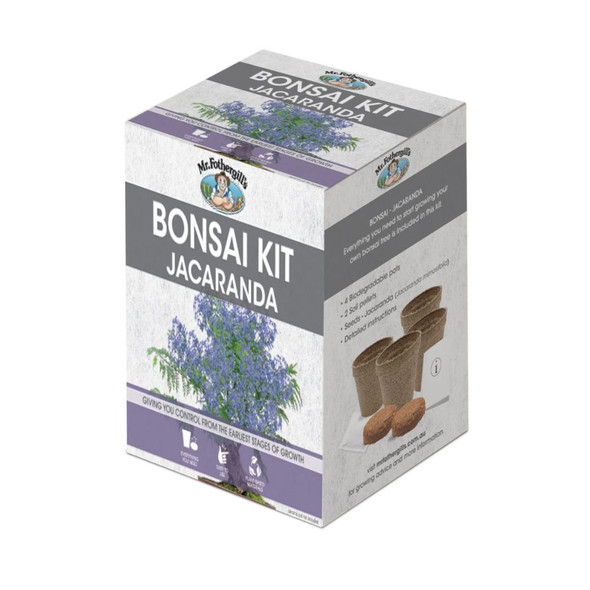 Bonsai Kit Jacaranda