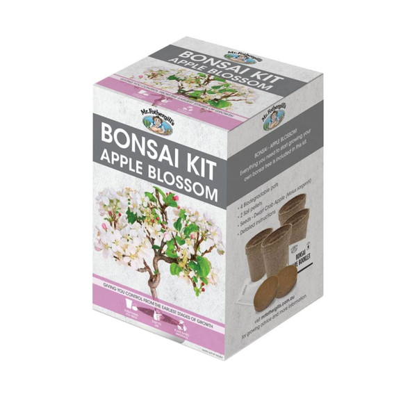 Bonsai Kit Appleblossom