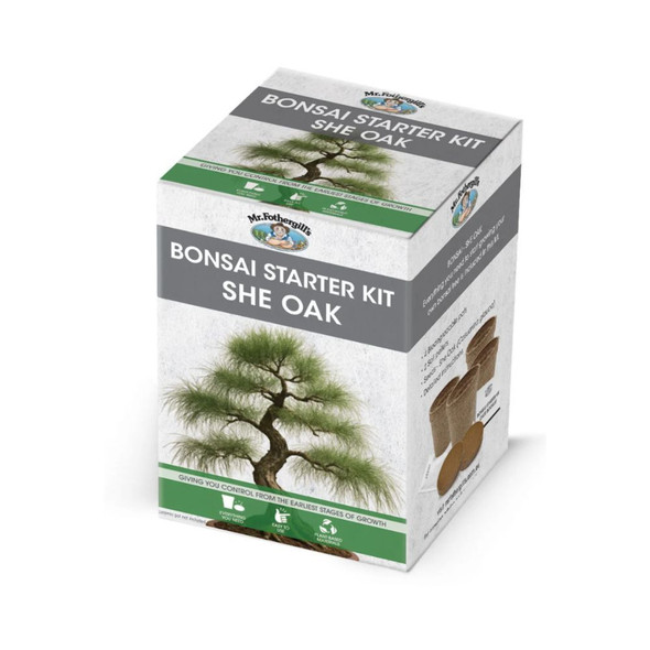 Bonsai Kit She Oak