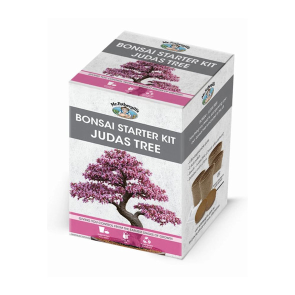 Bonsai Kit Judas Tree