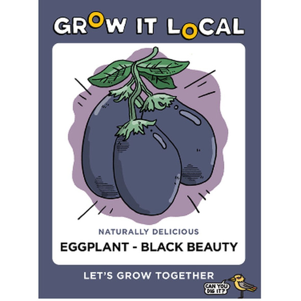 Black Beauty Eggplant GIL Seeds