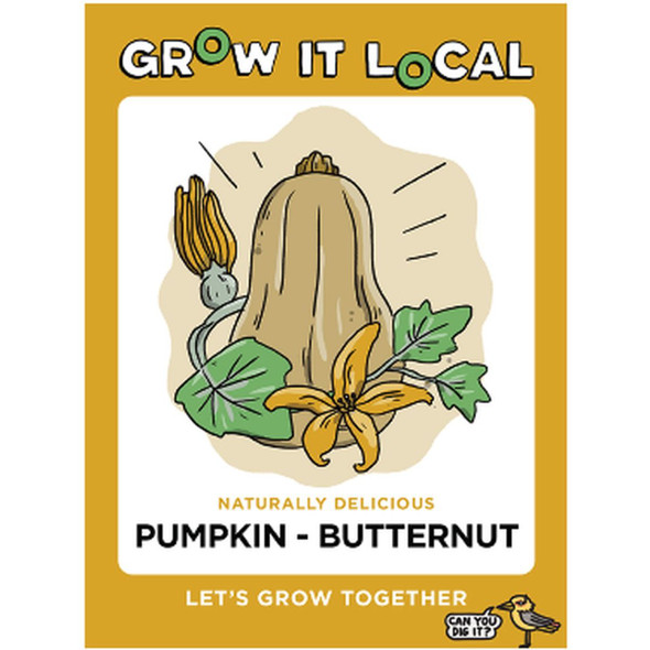 Butternut Pumpkin GIL Seeds