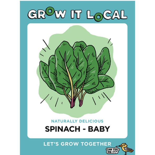 Baby Spinach GIL Seeds
