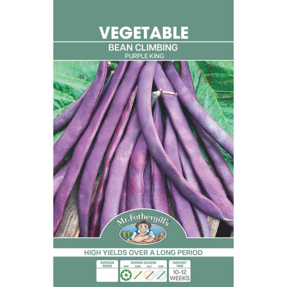 Climbing Bean Purple King Seeds
