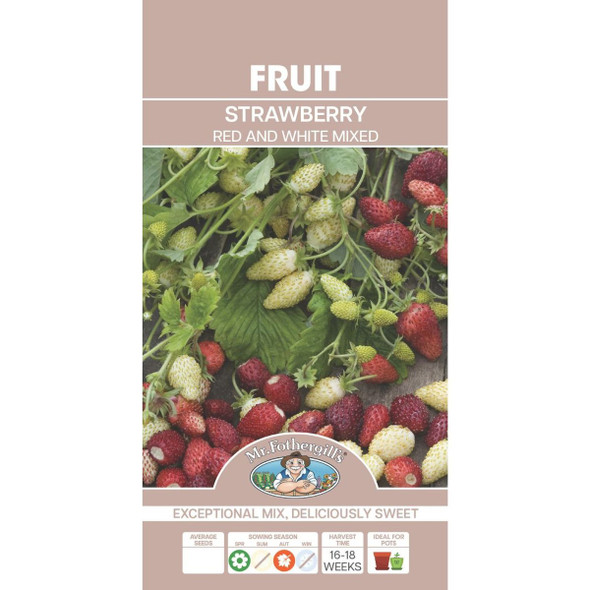 explorer) Red & White Strawberry Seeds (Vegetable Seeds