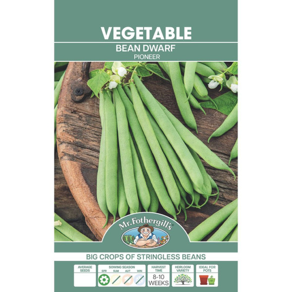 Bean Dwarf Pioneer Seeds