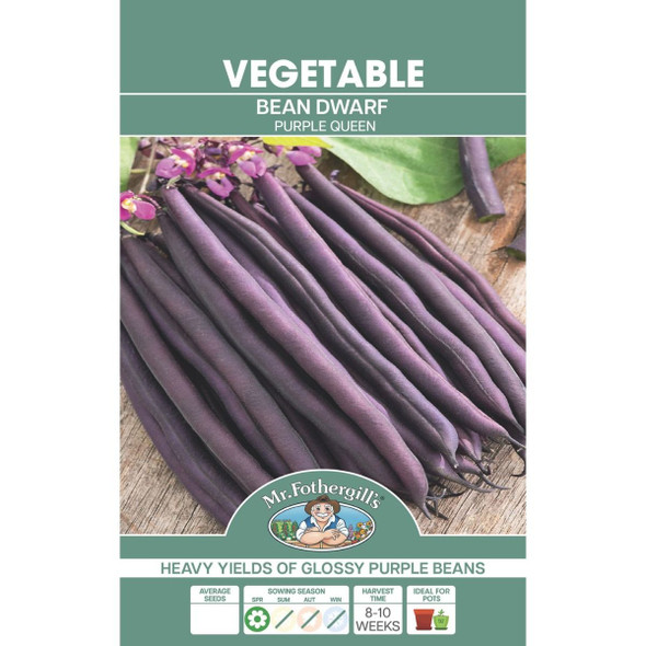 Bean Dwarf Purple Queen Seeds