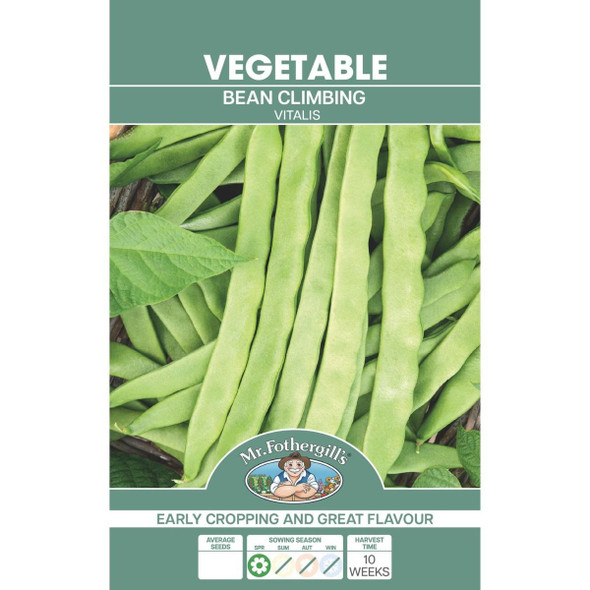 Bean Climbing Vitalis Seeds