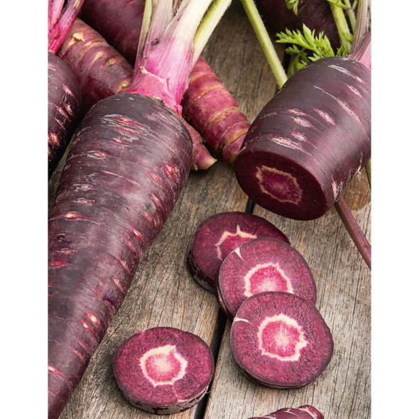 Carrot Purple Sun F1 Seeds