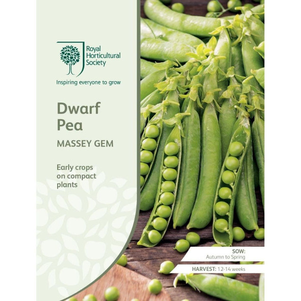 Pea Massey Gem Dwarf Seeds