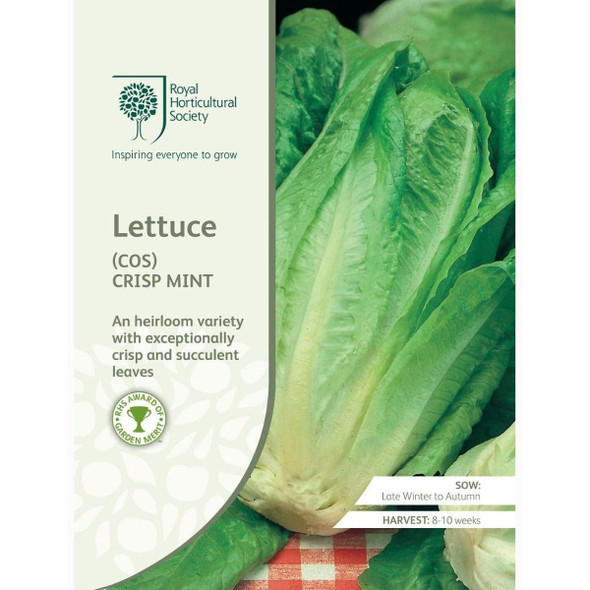 Lettuce Crisp Mint Cos Seeds
