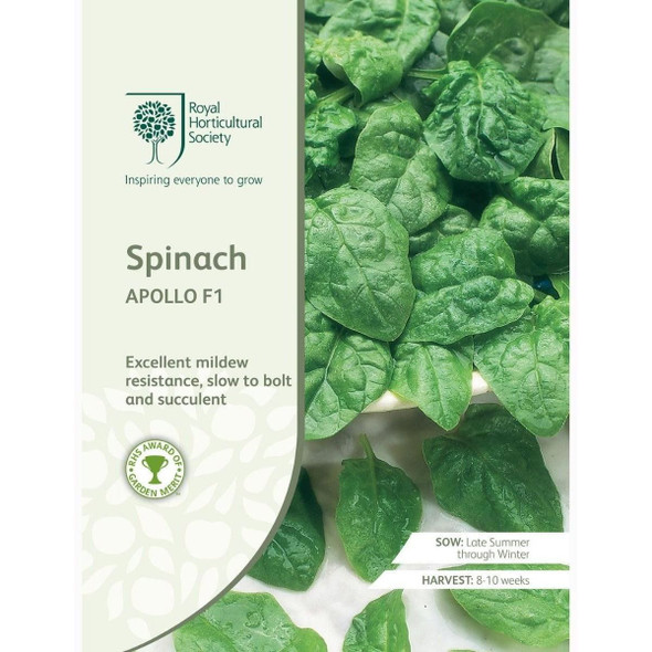 Spinach Apollo F1 Seeds