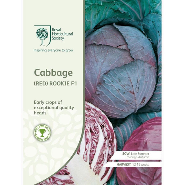 Cabbage Rookie F1 Red Seeds