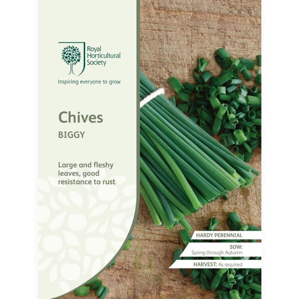 Chives Biggy Seeds