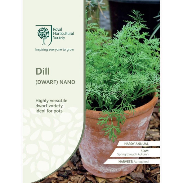Dill Nano (Dwarf) Seeds