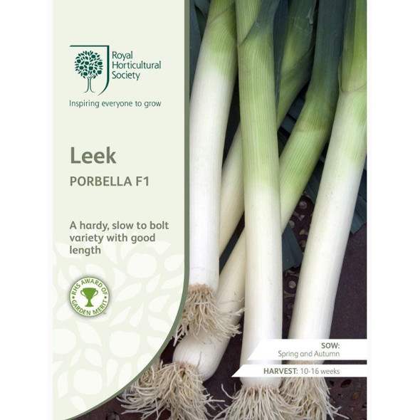Leek Porbella F1 Seeds