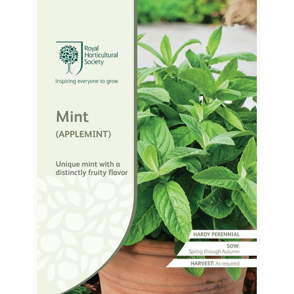 Mint Applemint Seeds