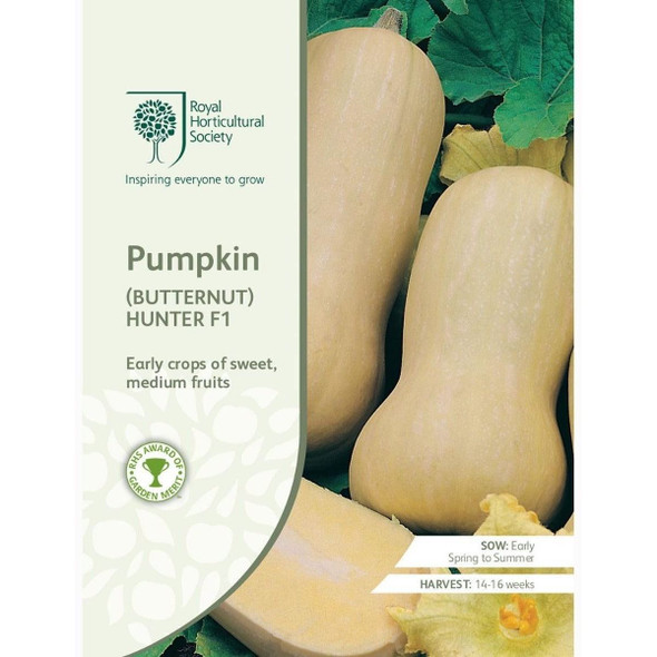 Pumpkin Hunter F1 Butternut Seeds