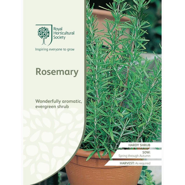 Rosemary Seeds