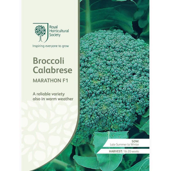 Broccoli Calabrese Marathon F1 Seeds