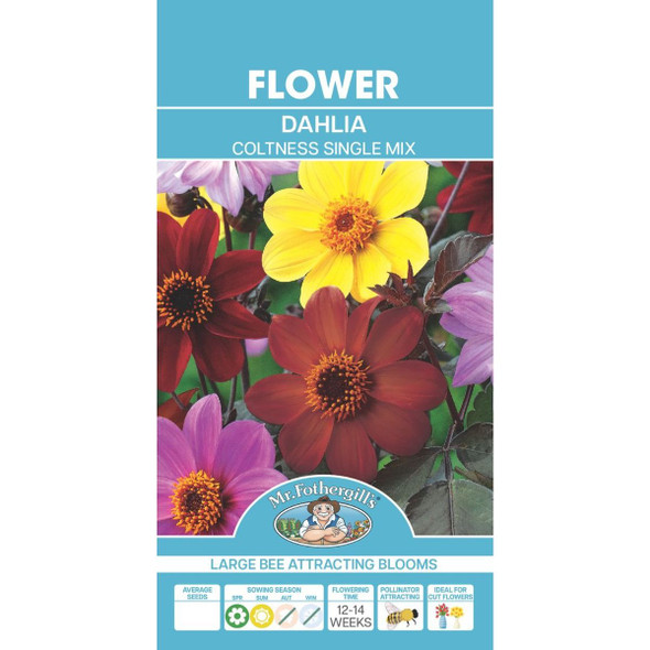 Dahlia Coltness Single Mixed Seeds