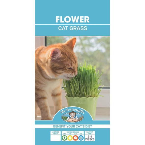 Grass Cat Seeds