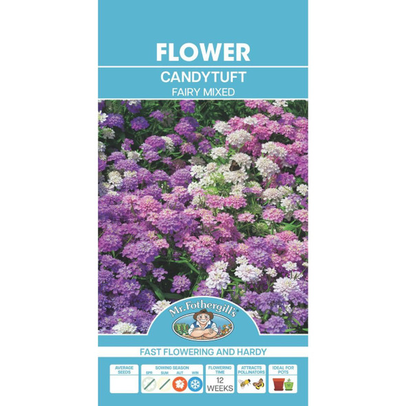 Candytuft Fairy Mixed Seeds