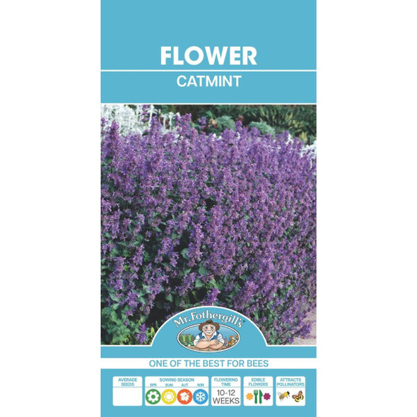 Catmint Seeds