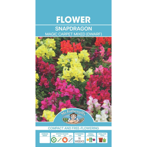 Mixed Magic Carpet Dwarf Snapdragon Seeds