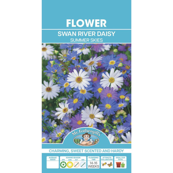 Daisy Summer Skies Swan River Seeds