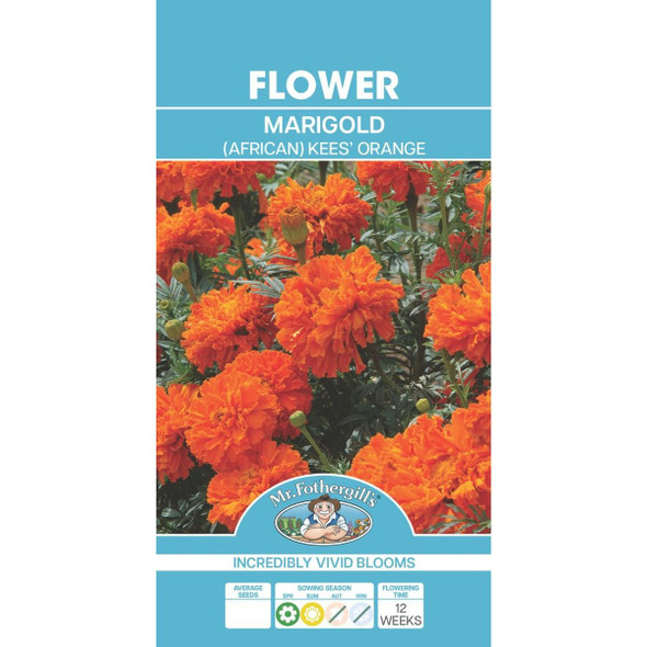 Marigold Kees' Orange Seeds
