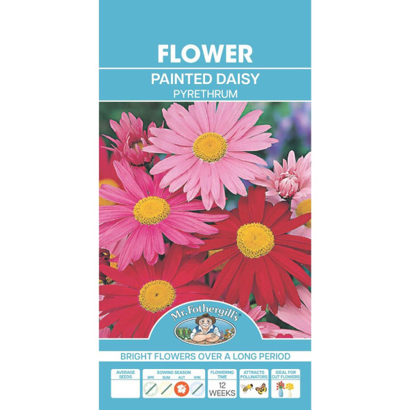 Pyrethrum Large Mixed Painted Daisy Seeds