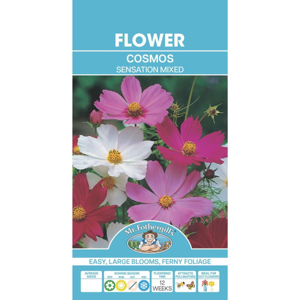 Cosmos Sensation Mixed Seeds