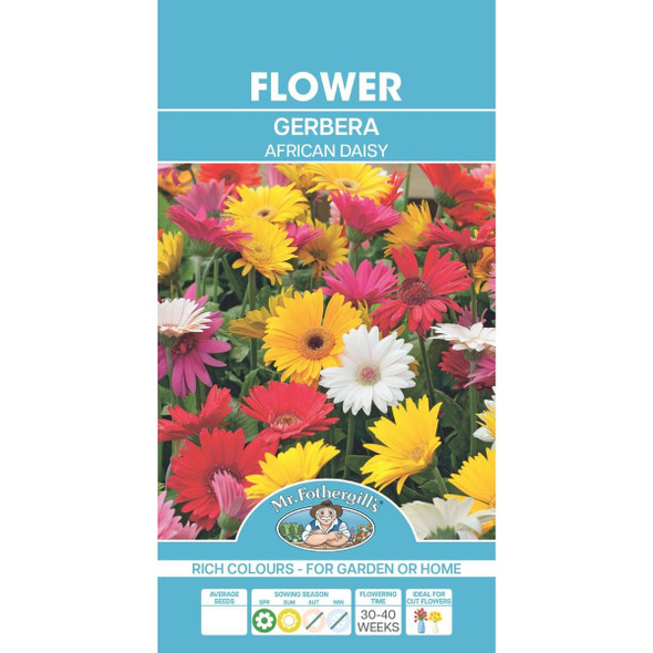 African Daisy Gerbera Seeds