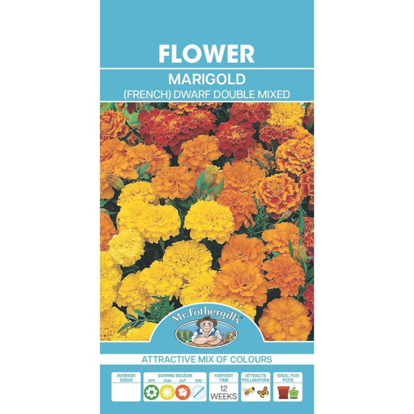 Marigold Dwarf Double Mixed Seeds