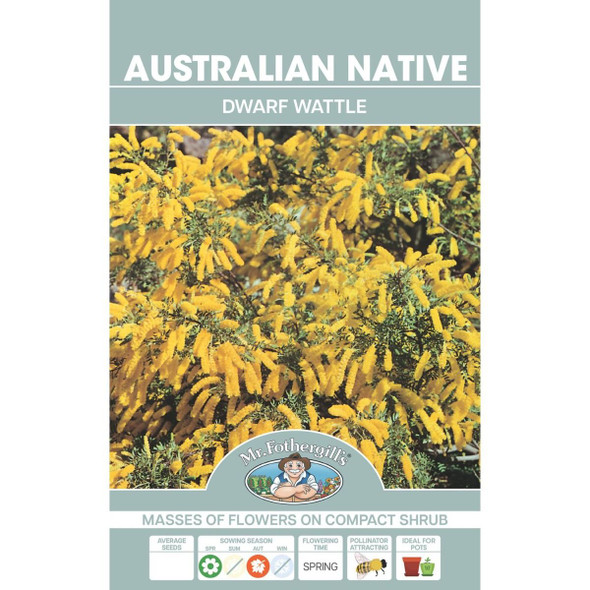 Native Dwarf Wattle Australian Seeds