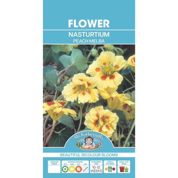 Nasturtium Peach Melba Seeds