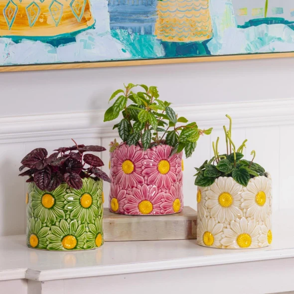 Daisy Cylinder Pot