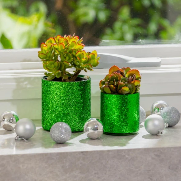 Stellar Festive Pot Green