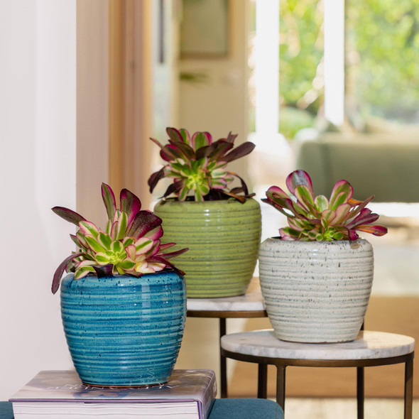 Suri Egg Cover Pot