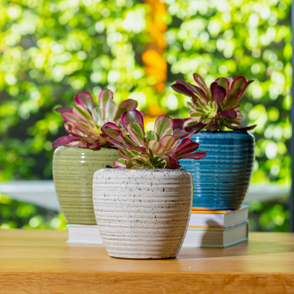 Suri Egg Cover Pot