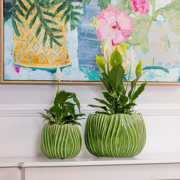 Tulip Pot