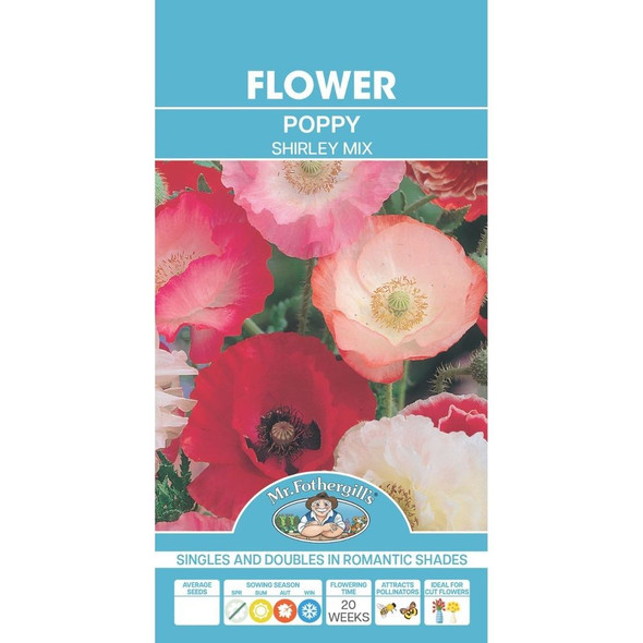 Sweet William Electron Mix Seed Packet