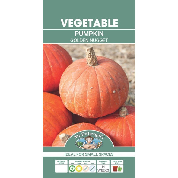 Marigold Carmen Seed Packet