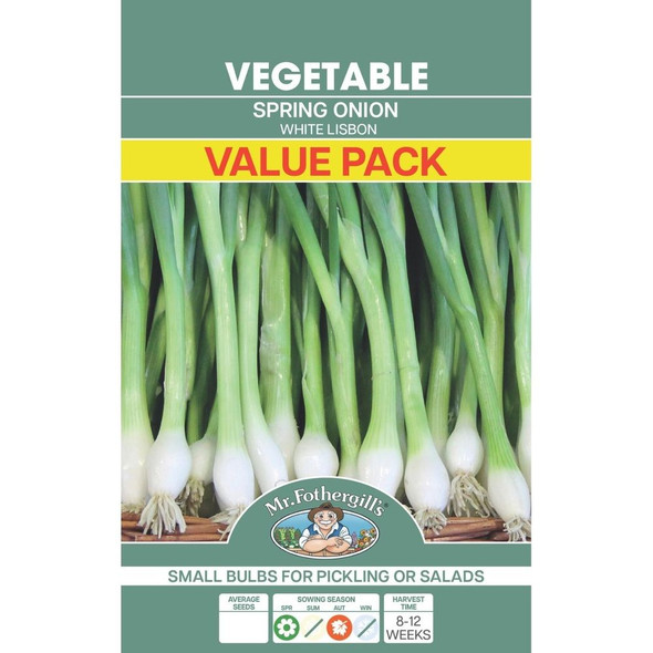 Blue Star Lily Wild Flower Seed Packet